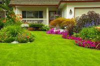 MIGHTY GARDENING & LANDSCAPING image 7